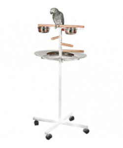 Parrot Supplies T Bar Parrot Playstand With Steps, Feeders And Tray - White